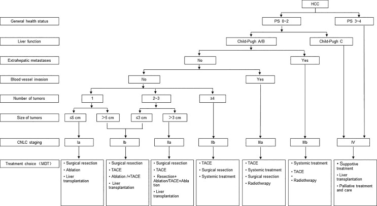 Guidelines for the Diagnosis and Treatment of Primary Liver Cancer (2022 Edition).