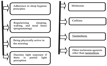 The Effect of Blindness on Biological Rhythms and the Consequences of Circadian Rhythm Disorder.