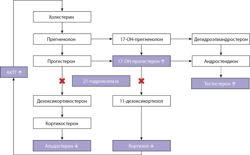 [Experience of successful laparoscopic sleeve resection of the stomach and treatment of morbid obesity in a patient with a classic form of congenital adrenal dysfunction].