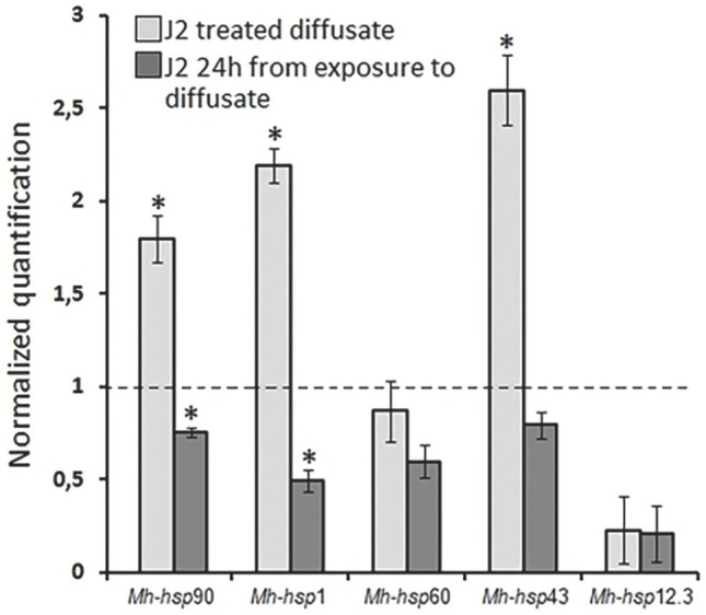 Effect of Vicia sativa L. on Motility, Mortality and Expression Levels of hsp Genes in J2 Stage of Meloidogyne hapla.