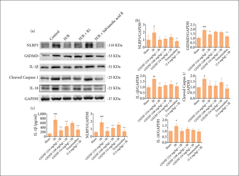 Protective effect of Guanxin Danshen formula on myocardial ischemiareperfusion injury in rats.