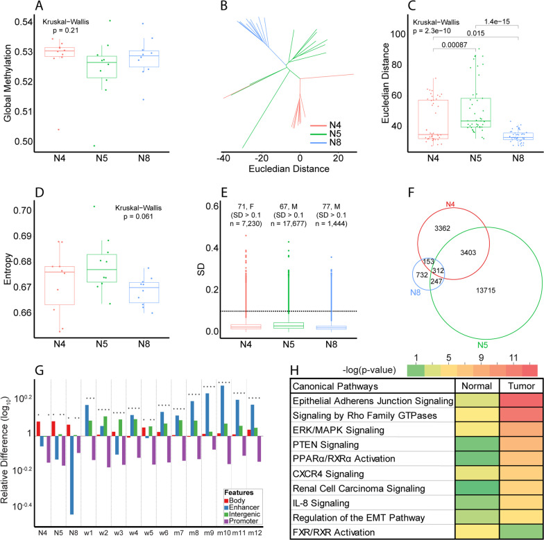 Extensive intratumor regional epigenetic heterogeneity in clear cell renal cell carcinoma targets kidney enhancers and is associated with poor outcome.