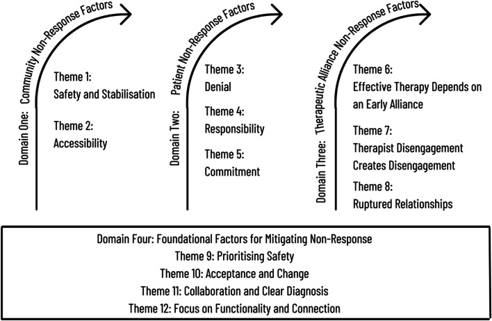 Patient perspectives on non-response to psychotherapy for borderline personality disorder: a qualitative study.