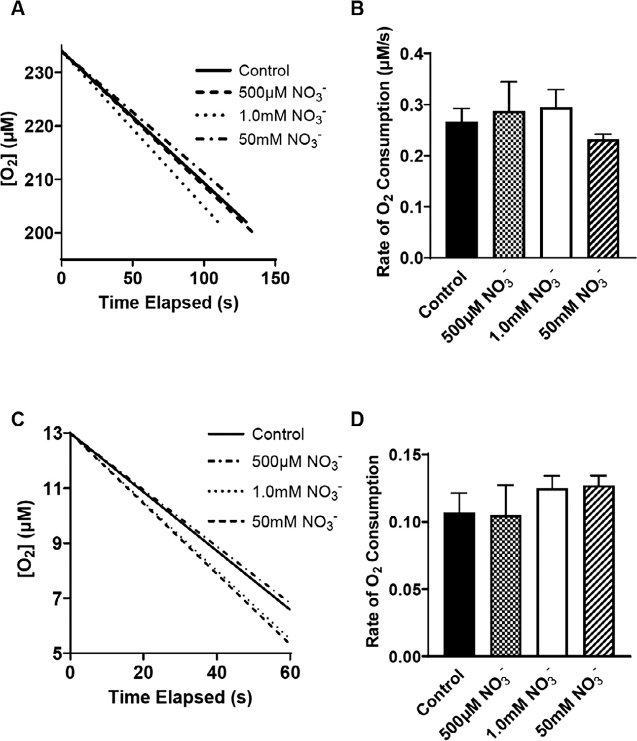Indirect Antioxidant Effects of the Nitrite Anion: Focus on Xanthine Oxidase