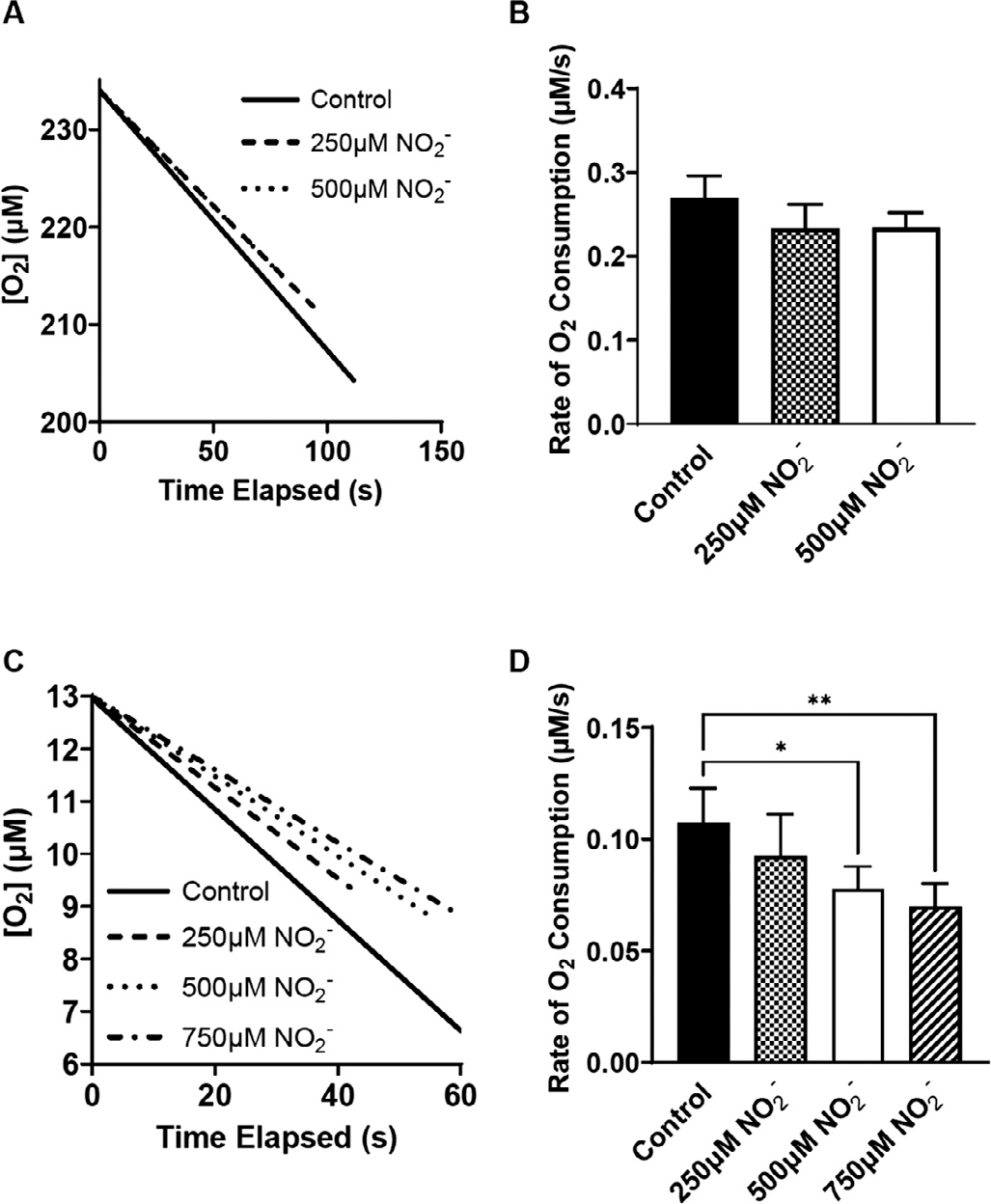 Indirect Antioxidant Effects of the Nitrite Anion: Focus on Xanthine Oxidase