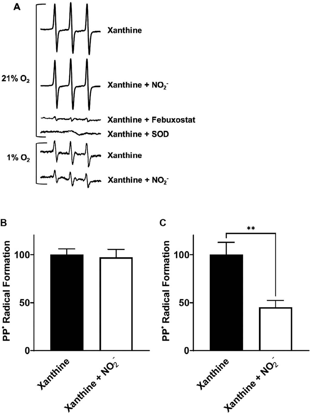 Indirect Antioxidant Effects of the Nitrite Anion: Focus on Xanthine Oxidase