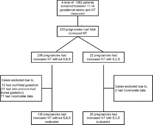 Does the Presence of Extended Jugular Lymphatic Sacs Add More Risk to Nuchal Thickness for Genetic and Structural Abnormality?