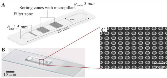 Comparison of In-House Microfluidic Device and Centrifuge-Based Method Efficacy in Sperm Preparation for Assisted Reproductive Technology.