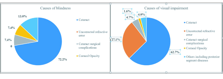 Rapid Assessment of Avoidable Visual Impairment in Two Coastal Districts of Eastern India for Determining Effective Coverage: A Cross-Sectional Study.