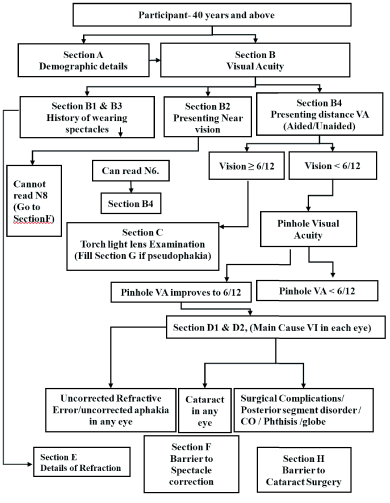 Rapid Assessment of Avoidable Visual Impairment in Two Coastal Districts of Eastern India for Determining Effective Coverage: A Cross-Sectional Study.