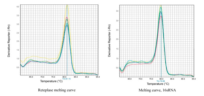 Response Surface Methodology to Optimize the Expression Efficiency of Recombinant Reteplase.