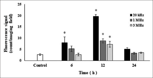 Effect of ultrasound treatment of the skin on activation of Langerhans cells and antibody production in rodents.