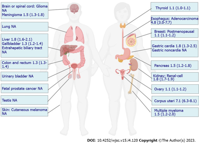 Obesity and cancer stem cells: Roles in cancer initiation, progression and therapy resistance.