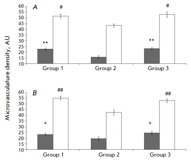 Cell Therapy: A New Technology for Cerebral Circulation Restoration after Ischemia/Reperfusion.