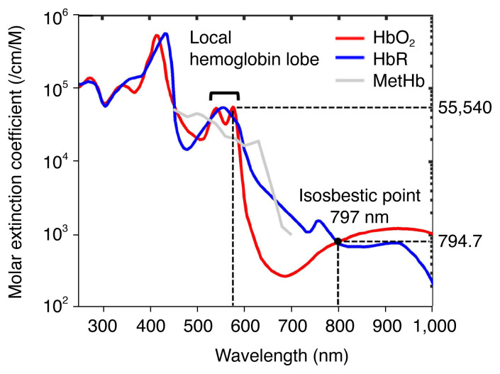 High-contrast spectroscopic photoacoustic characterization of thermal tissue ablation in the visible spectrum.