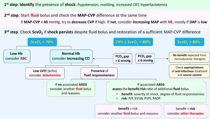 How to integrate hemodynamic variables during resuscitation of septic shock?