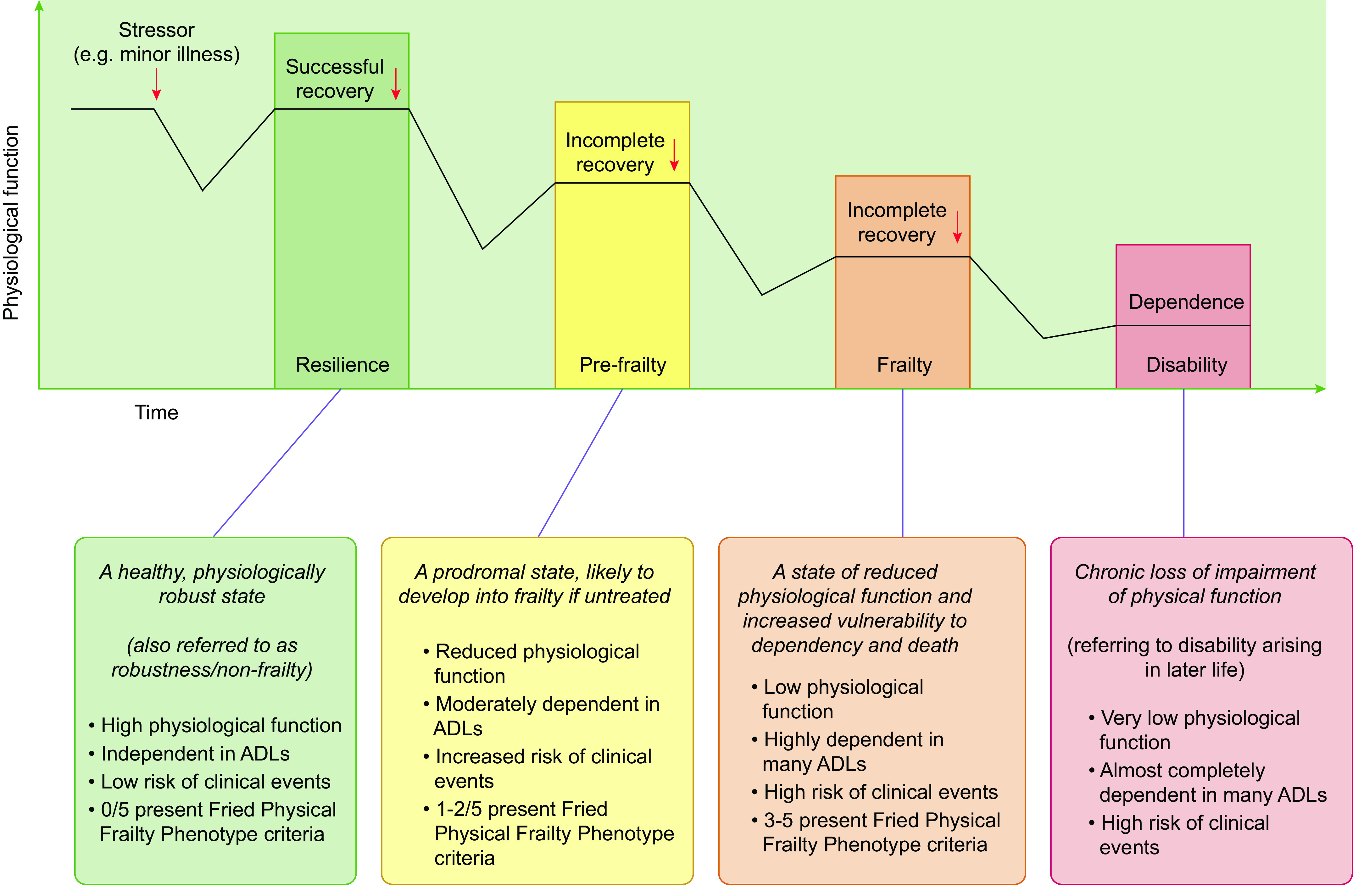 Multisystem physiological perspective of human frailty and its modulation by physical activity.