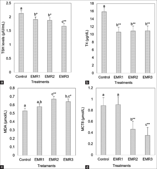 Effects of mobile phone electromagnetic radiation on thyroid glands and hormones in <i>Rattus norvegicus</i> brain: An analysis of thyroid function, reactive oxygen species, and monocarboxylate transporter 8.