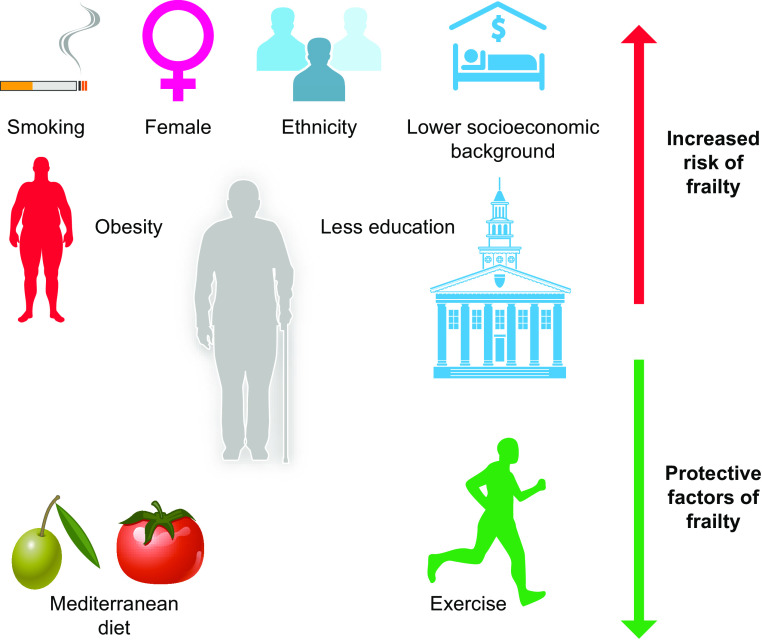 Multisystem physiological perspective of human frailty and its modulation by physical activity.