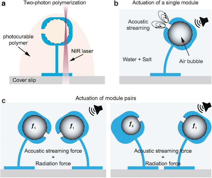 3D Printed Acoustically Programmable Soft Microactuators.