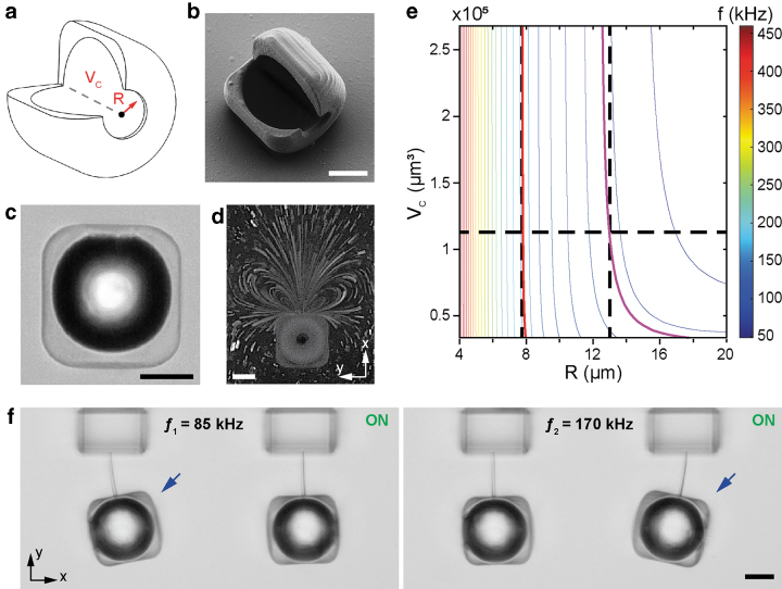 3D Printed Acoustically Programmable Soft Microactuators.