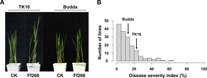 Identification of qBK2.1, a novel QTL controlling rice resistance against Fusarium fujikuroi.