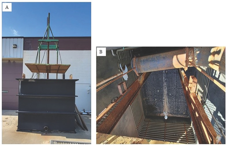 Plant-Parasitic Nematodes and their Effects on Ornamental Plants: A Review.