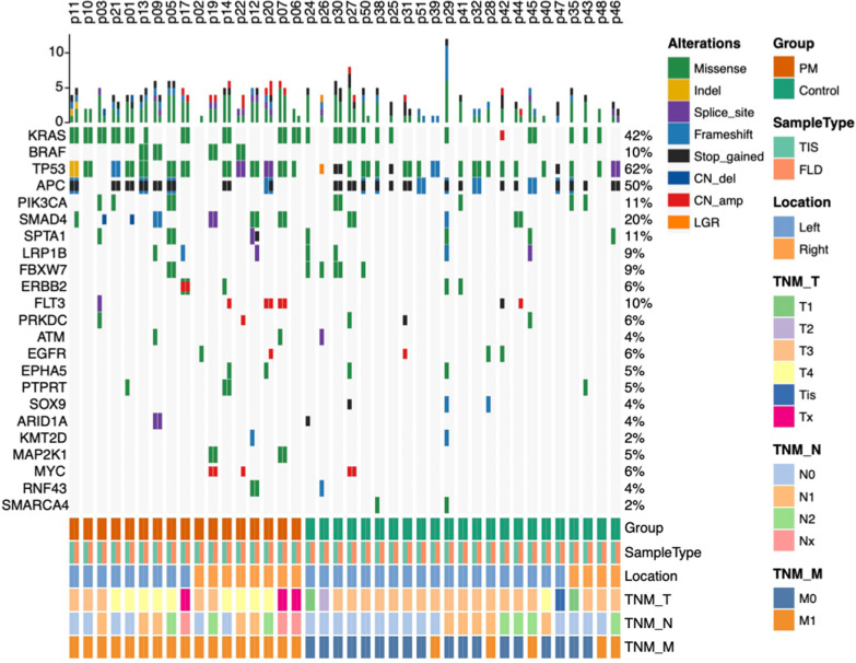 Peritoneal cell-free DNA as a sensitive biomarker for detection of peritoneal metastasis in colorectal cancer: a prospective diagnostic study: A prospective diagnostic study.