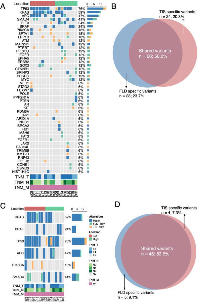 Peritoneal cell-free DNA as a sensitive biomarker for detection of peritoneal metastasis in colorectal cancer: a prospective diagnostic study: A prospective diagnostic study.