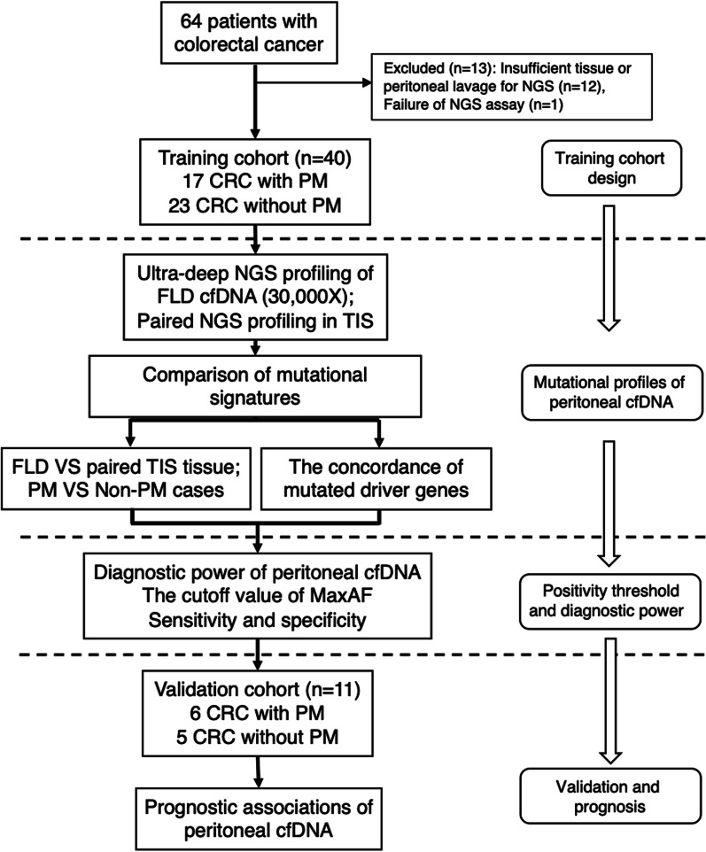 Peritoneal cell-free DNA as a sensitive biomarker for detection of peritoneal metastasis in colorectal cancer: a prospective diagnostic study: A prospective diagnostic study.