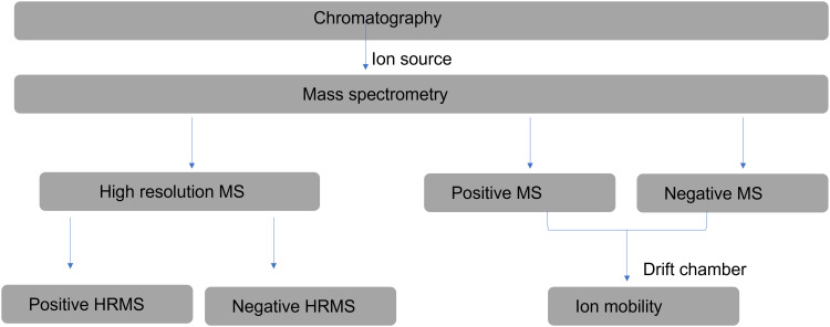 Exploratory data fusion of untargeted multimodal LC-HRMS with annotation by LCMS-TOF-ion mobility: White wine case study.