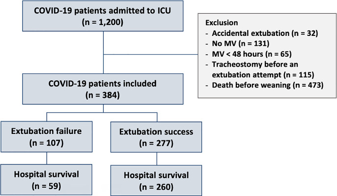 Extubation failure and the use of noninvasive ventilation during the weaning process in critically ill COVID-19 patients.