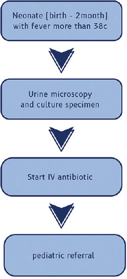 Urinary tract infection in children: A narrative review of clinical practice guidelines.