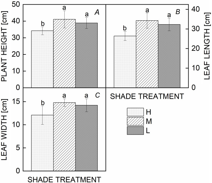 The physiological responses of critically endangered species <i>Ardisia gigantifolia</i> Stapf (Primulaceae) to different light intensities.