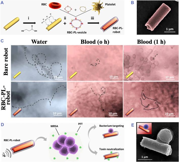 Ultrasound-trigged micro/nanorobots for biomedical applications.