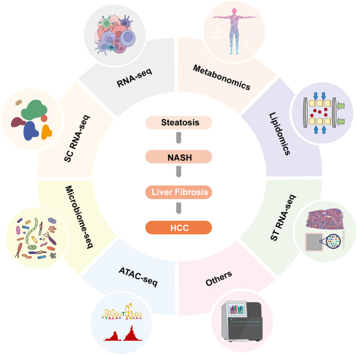 Multidimensional landscape of non-alcoholic fatty liver disease-related disease spectrum uncovered by big omics data: Profiling evidence and new perspectives.