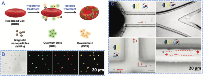 Ultrasound-trigged micro/nanorobots for biomedical applications.
