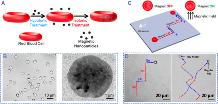 Ultrasound-trigged micro/nanorobots for biomedical applications.