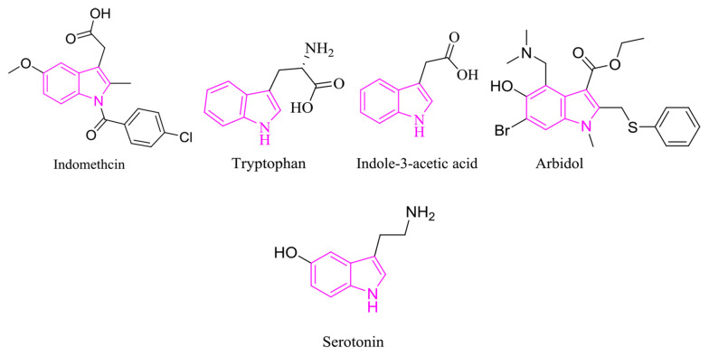 Design, Synthesis, and Investigation of Cytotoxic Effects of 5-Hydroxyindole-3-Carboxylic Acid and Ester Derivatives as Potential Anti-breast Cancer Agents.