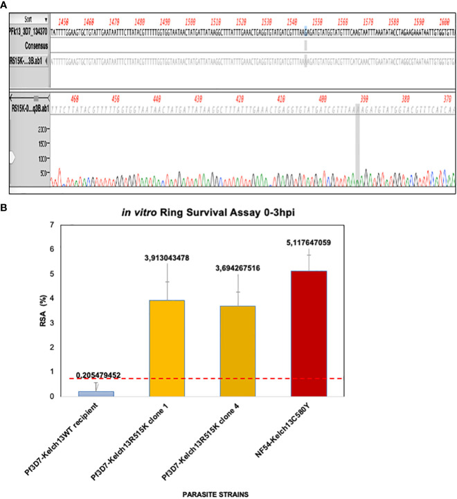 Identification of an <i>in vitro</i> artemisinin-resistant <i>Plasmodium falciparum</i> kelch13 R515K mutant parasite in Senegal.