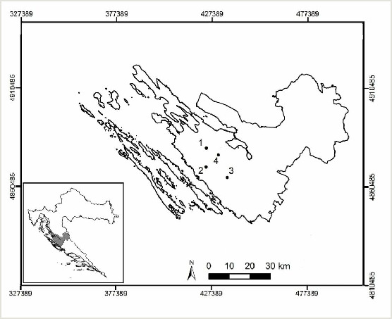 Mediterranean vineyards and olive groves in Croatia harbour some rare and endemic invertebrates.