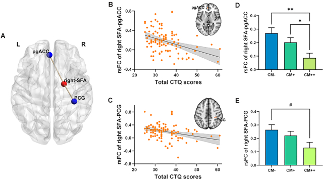 Regional superficial amygdala resting-state functional connectivity in adults infers childhood maltreatment severity.