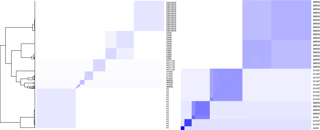 Escaping The Curse of Dimensionality in Bayesian Model-Based Clustering.