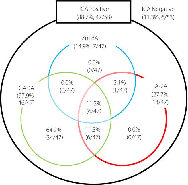 Comparison of positive rates between glutamic acid decarboxylase antibodies and ElisaRSR™ 3 Screen ICA™ in recently obtained sera from patients who had been previously diagnosed with slowly progressive type 1 diabetes