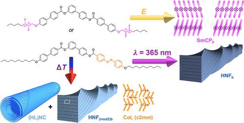 Controlling the Structure and Morphology of Organic Nanofilaments Using External Stimuli