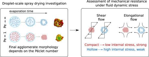 Micromechanics and strength of agglomerates produced by spray drying