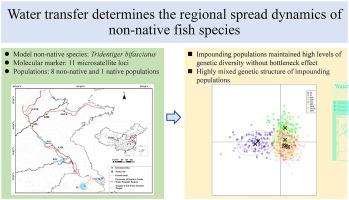 Water transfer determines the regional spread dynamics of non-native fish species