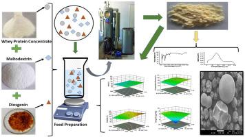 Encapsulated diosgenin powder production using binary carrier: Process optimization and powder characterization