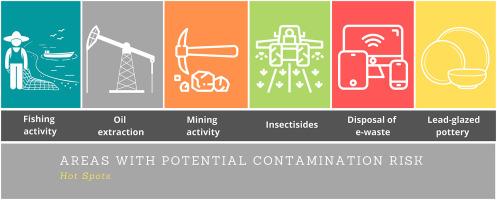 Children's blood lead levels in Latin America and the Caribbean – Recommendations to combat this well-known persistent public health problem