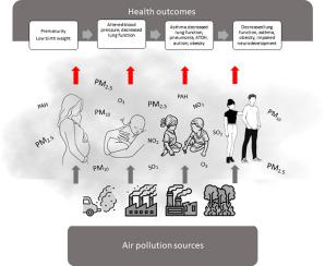 Beyond respiratory effects: Air pollution and the health of children and adolescents